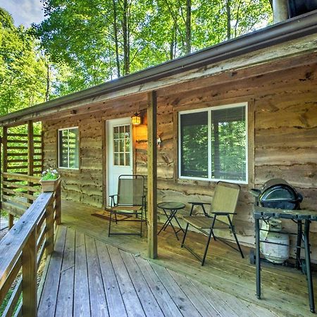 Cozy The Woodshop Cabin With Deck And Forest Views! Robbinsville Eksteriør billede